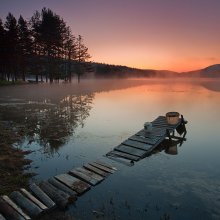 Fishing / .......