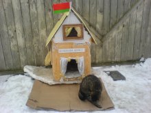 Cat's House / ***