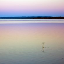natural gradients / ***