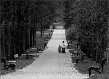 autumn walk / -----