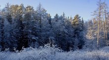 "Suffer, people winter is coming ..." / ***