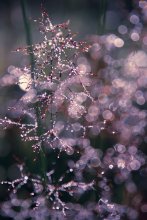 NoName / NoComments