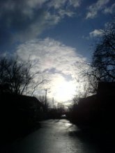 photo / ***
