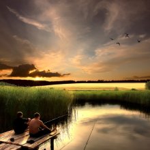 Fisher / ***
