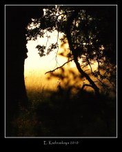 Morgendämmerung / ***