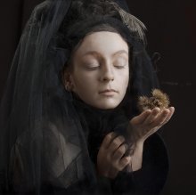 portrait of a chestnut tree / ***