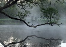 Brücke / -----