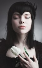 Rotten Apple / ***
