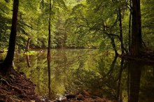 Where the Wild Water / ***