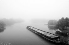 fogs / ***