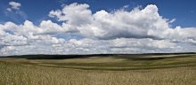  / fields of gold