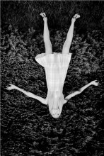 "Dream" / ........