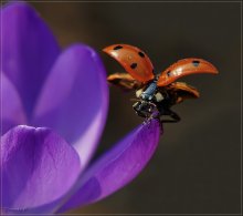 'm Going to take off! / ***