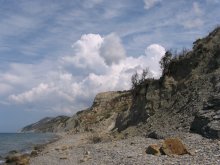 Wild beach / ***