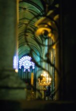 Music Notre Dame. / -------