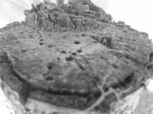 stump / ......