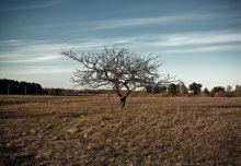 Lonely ... / ...........