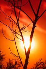 [sun-catcher] / ***