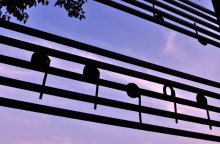 &quot;... In the morning at dawn ...&quot; / ***