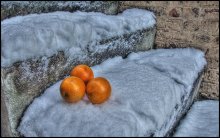 oranges on the steps of / ***