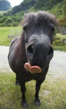 Alles Liebe! / ***
