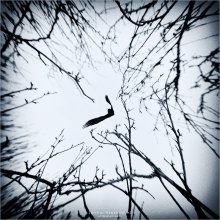 [ Escape to the light ... ] / ***