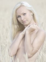 angel / ***