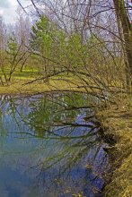 spring flood / ***