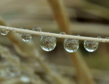 Dry in the summer .. / ***