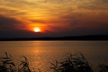 A late fisherman / ***