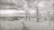 winter midsummer night's dream / ***