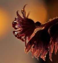 stargazers...... / ***************