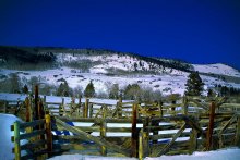 Fences-fences / ***