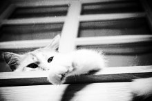 Chill / .......