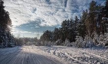 The road to a winter wonderland / ***