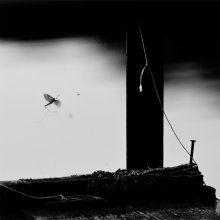 Darkness / .......