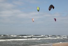 The wind / ***