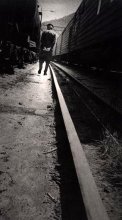 Nodal-Commodity / ***