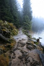 Trail / ***