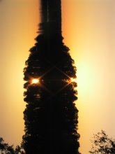 bottle / ***
