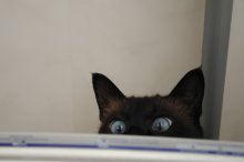Look / ......