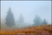 Morning mists / *****