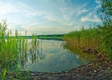 Marshy woodlands / ***