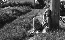 wind and sun in August / *****