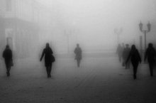 Dunst / ***