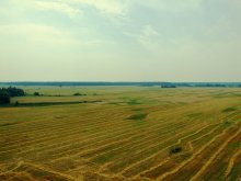 Infinity fields / _______