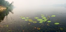 still waters / ***