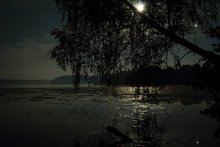 Moonlit Night / ***