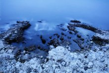 Color of Night / ***