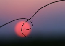 Melody sounded at sunset ... / ***